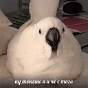 Weaaryy