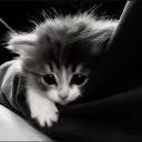 user04331061
