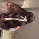 Nora_Drey