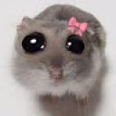 harumiXxh