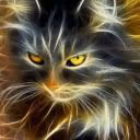 Cat_like
