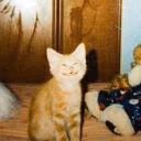 pepellxx