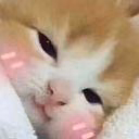 12cookie57
