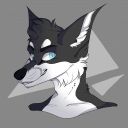 AlexWolfy03
