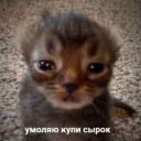 plitiksis