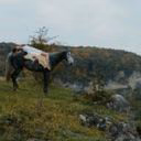 Viktoritor