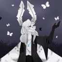 WighteMoth