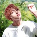 bts_fan_army13062019