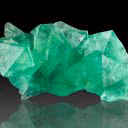 Green_leaf251