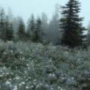 Maria_Vinchester_000