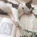 Libraki
