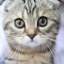 CrAzY333CuTiE