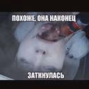 tyuio_trr