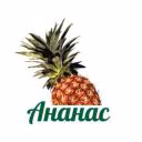 AnaNastik003