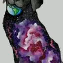 Stella2008280308