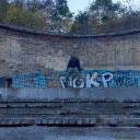 Shakal31