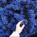 vikangelis
