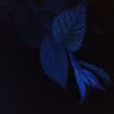 destiel25042607