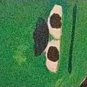 UUUUUUIIIIIIIIII