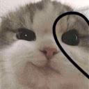 user36381097