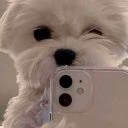 swee_zi