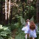 Dreamy___writer
