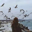 _usnbv_dn