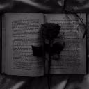 YARA_history
