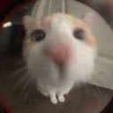 not_gentle