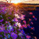 user82009842