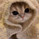 Dangorsh