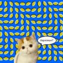 CAPUCHlNO