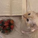 Vibook_lover