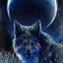 NachtWolf6