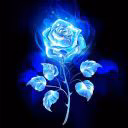 Rene_Viles