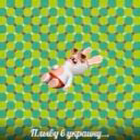 ommarsyou