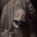 aliVe_insiDe_