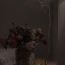 _lada_dreams