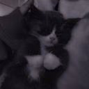 sleeping_pr1ncess