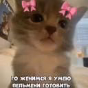 Vryshka_ops