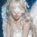 Faucon_blanc