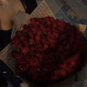 Rose1759350