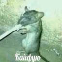 blyatyaxyinya