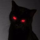 kishka_meow