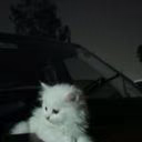 edna_evans0009