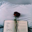 LoveLoveYouSoMuch