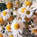 user22094122