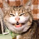 lognrol