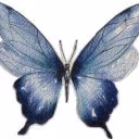 popcoar