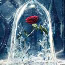 Billy_Rous